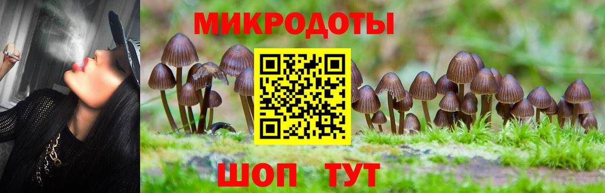 Галлюциногенные грибы прущие грибы  Вход с VPN  Ефремов 