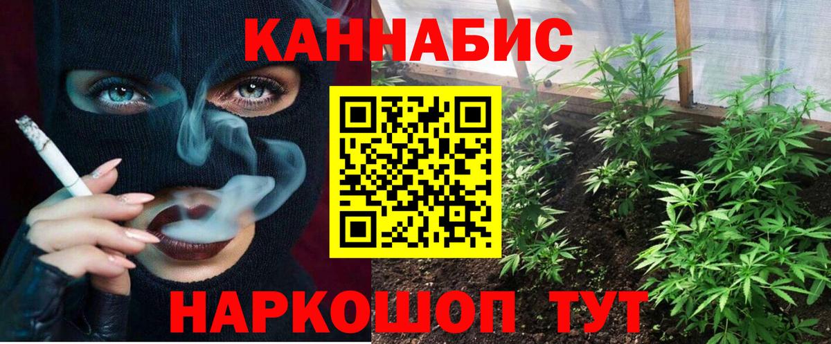 Ефремов  Бошки марихуана сатива  Шишки марихуана сатива  Вход с VPN 